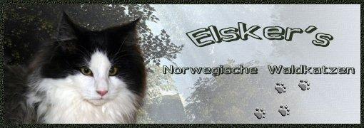 Link to Elsker Website