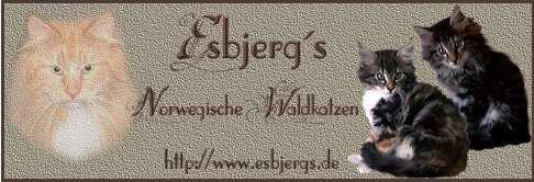Link to Esbjergs