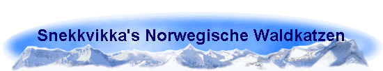Link to Snekkvikka