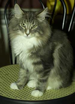 Socrates - 29th May 2007