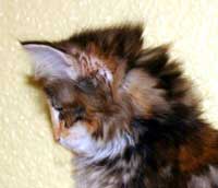 Vivien's Profile - 7th September 2005