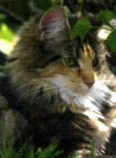 Vivien - Summer 2006